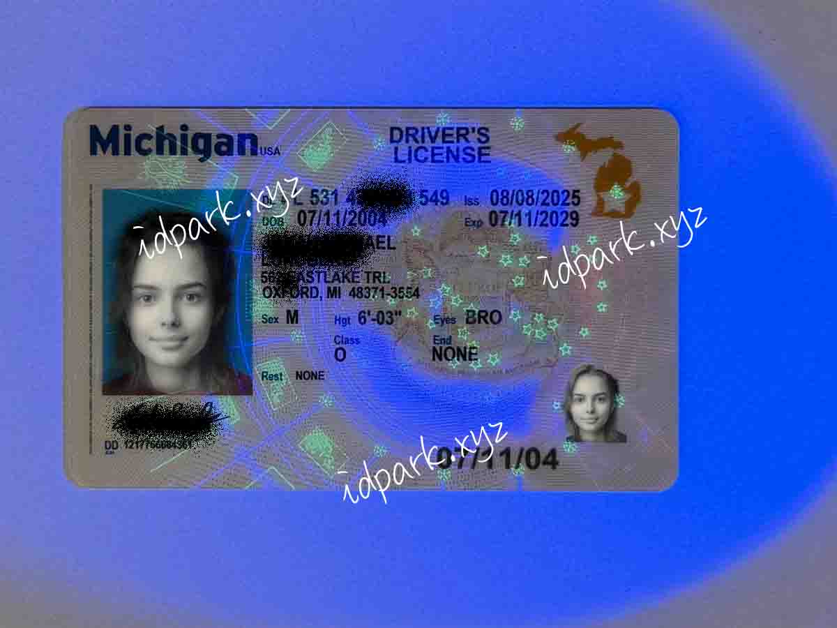 Michigan (New) - Image 2