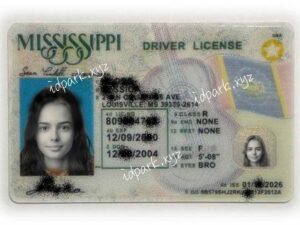 Mississippi ID (New)