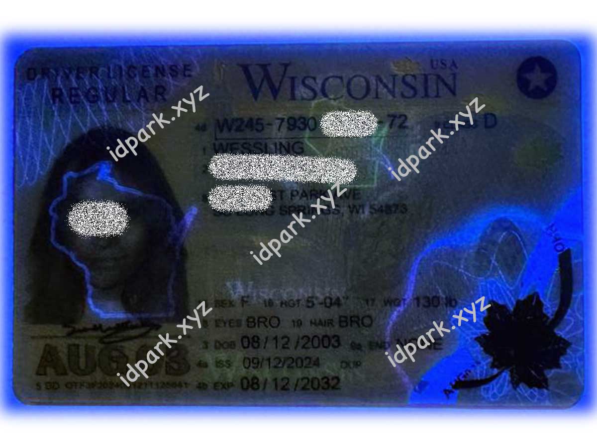 Wisconsin ID (NEW) - Image 2